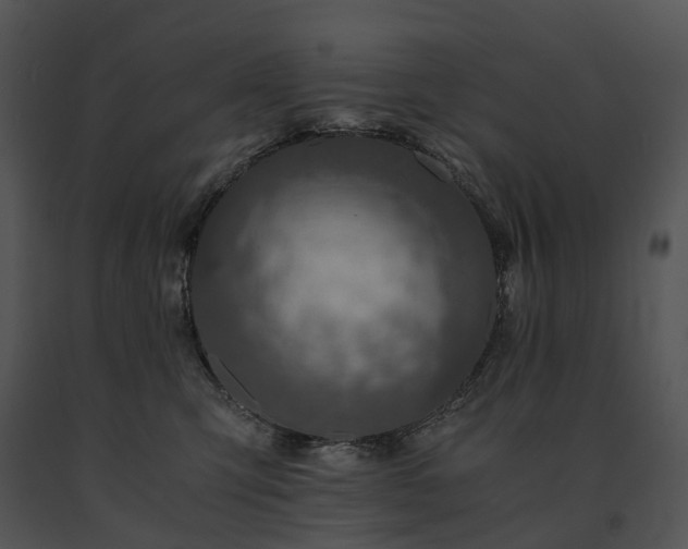 X0000091680423200708301524