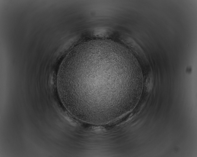 X0000091680424200708301524