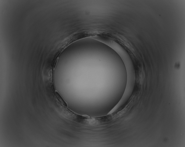 X0000091680425200708301524