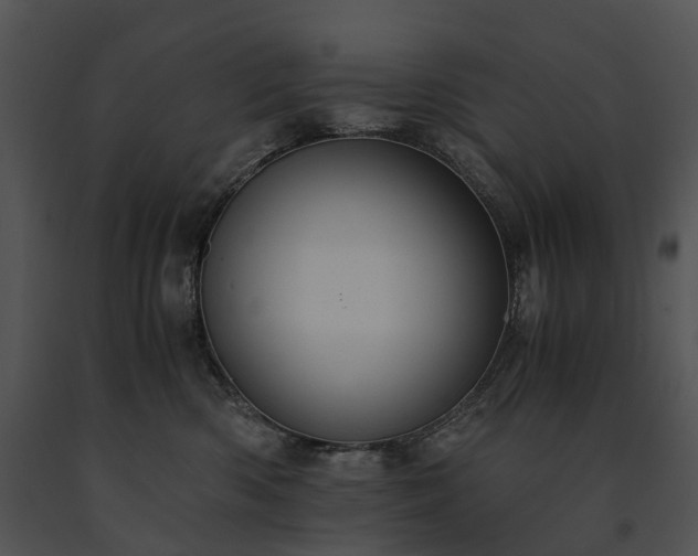 X0000091680426200708301524