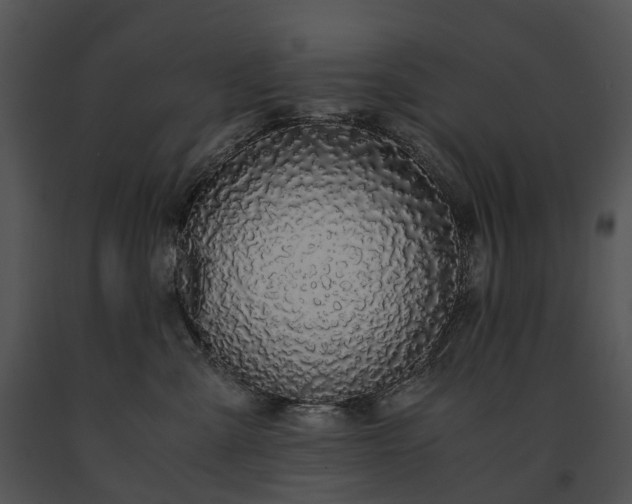 X0000091680427200708301524