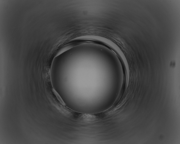 X0000091680429200708301524