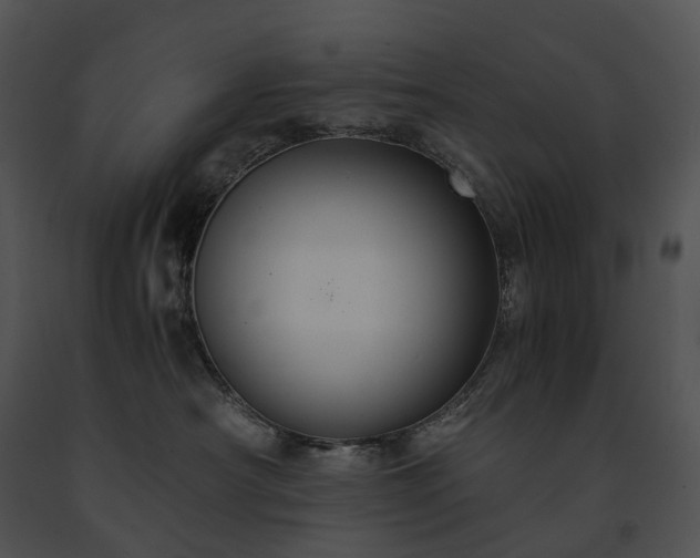 X0000091680430200708301524
