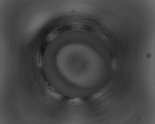 X0000091680431200708301524