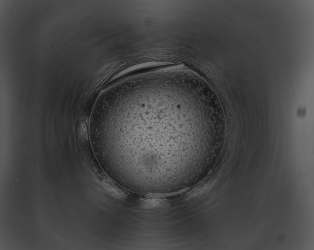 X0000091680432200708301524