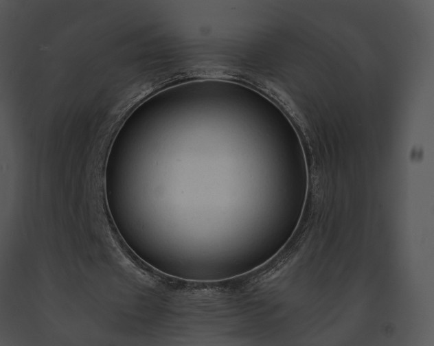 X0000091680433200708301523