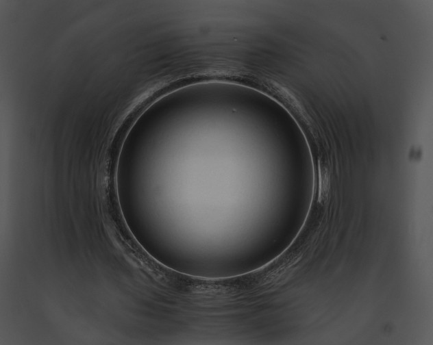 X0000091680435200708301523