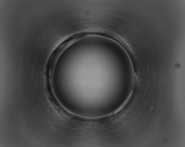 X0000091680436200708301523