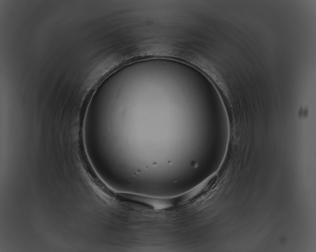 X0000091680437200708301523