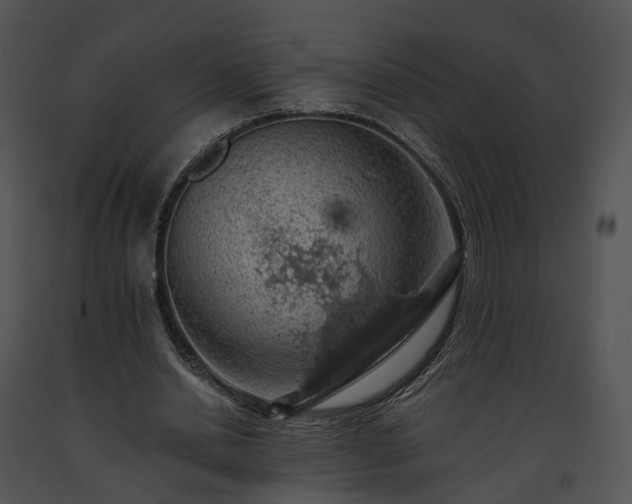X0000091680438200708301523
