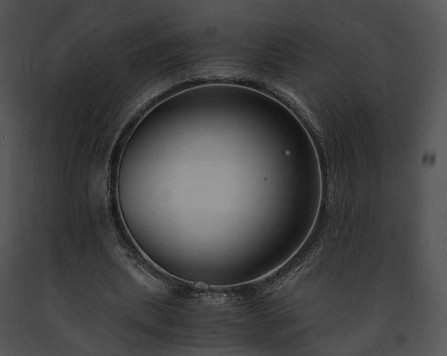 X0000091680439200708301523