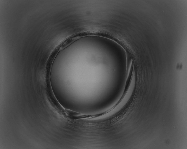 X0000091680440200708301523