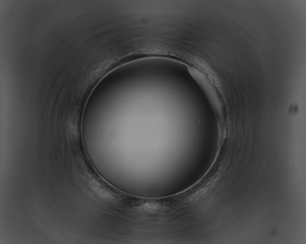 X0000091680441200708301523