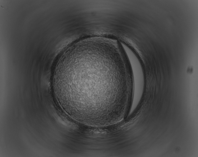 X0000091680443200708301523