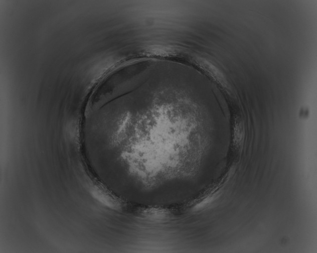 X0000091680444200708301523