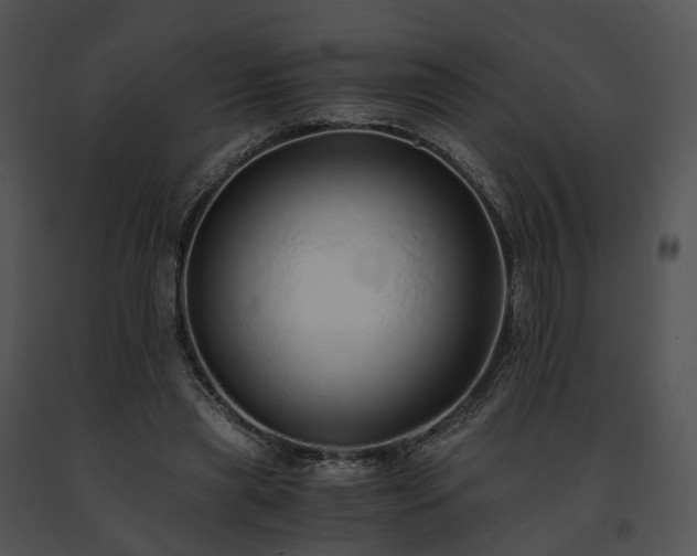 X0000091680445200708301523