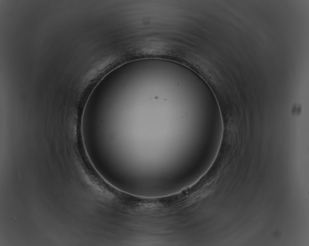 X0000091680446200708301523
