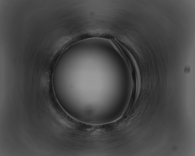 X0000091680448200708301523