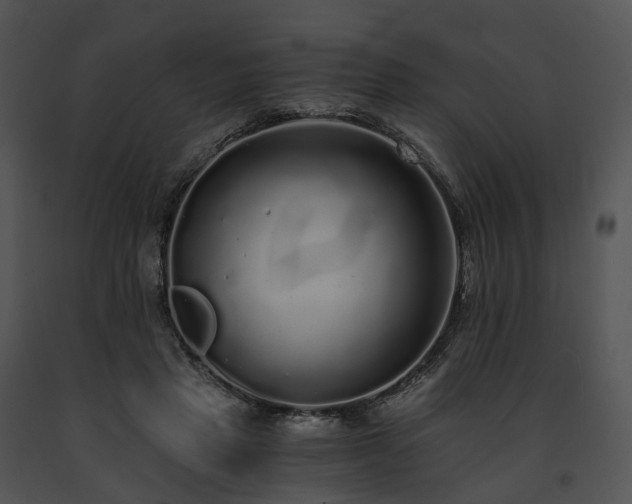 X0000091680453200708301523