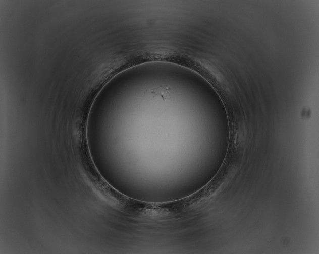 X0000091680455200708301523