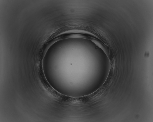 X0000091680456200708301523
