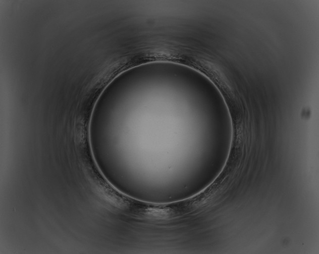 X0000091680457200708301523