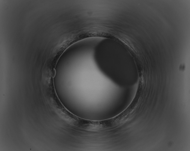 X0000091680458200708301523