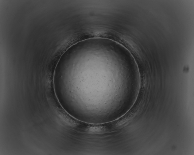 X0000091680461200708301523