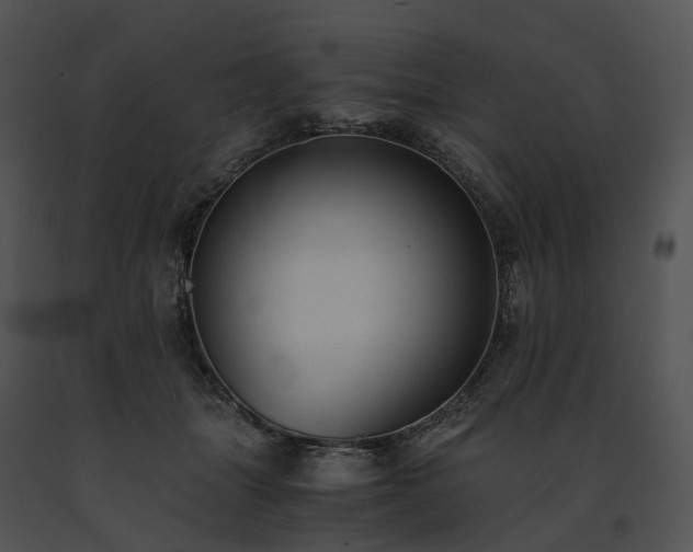 X0000091680463200708301523