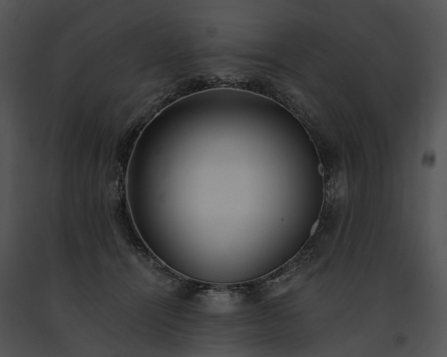 X0000091680464200708301523