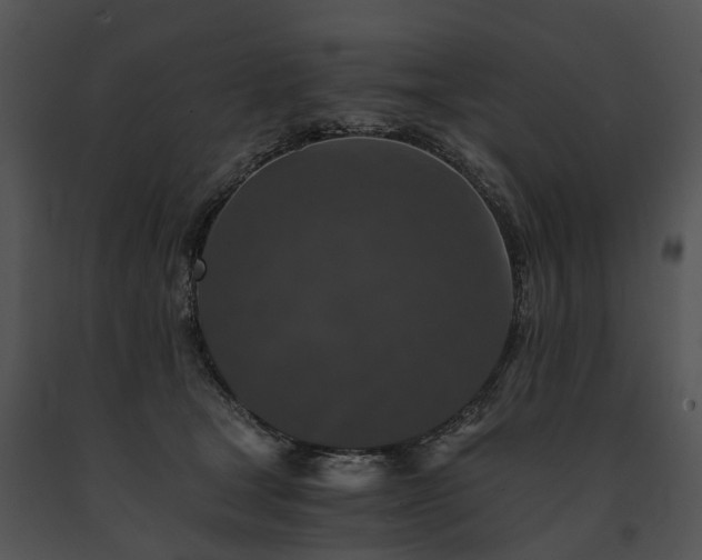 X0000091680465200708301523