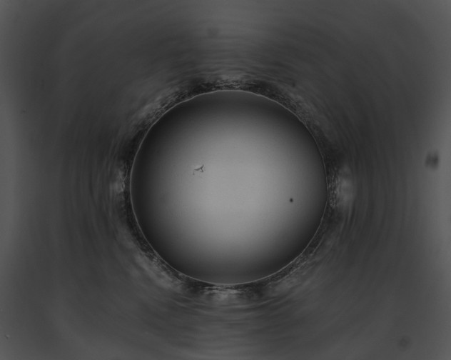X0000091680472200708301524