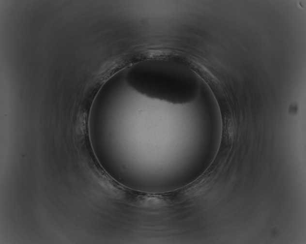 X0000091680475200708301524