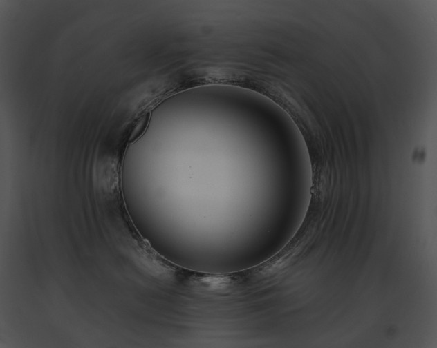 X0000091680478200708301524