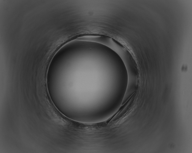 X0000091680481200708301523