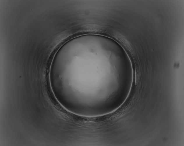 X0000091680483200708301523