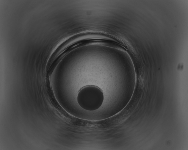 X0000091680484200708301523