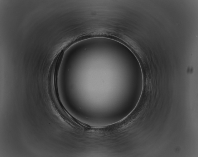 X0000091680485200708301523