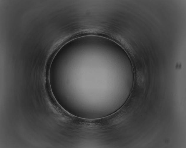 X0000091680486200708301523
