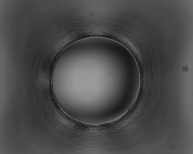 X0000091680489200708301523