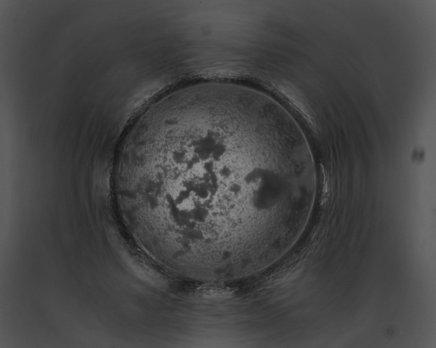 X0000091680491200708301523