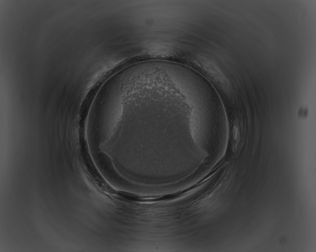 X0000091680492200708301523