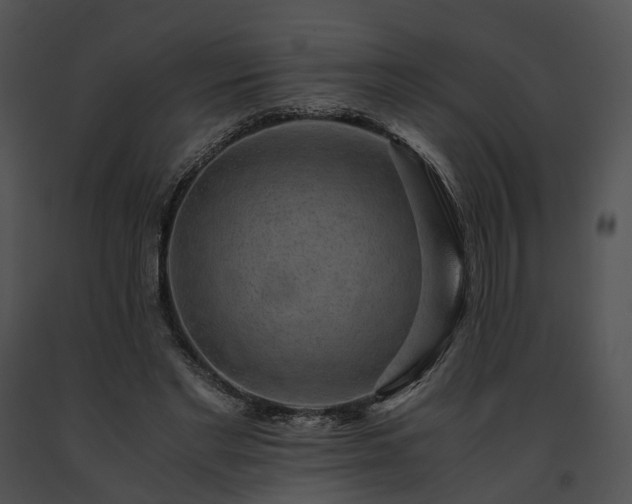 X0000091680493200708301523