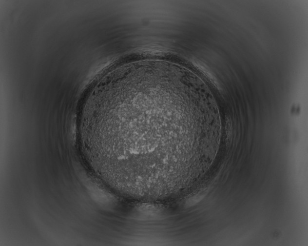 X0000091680494200708301523