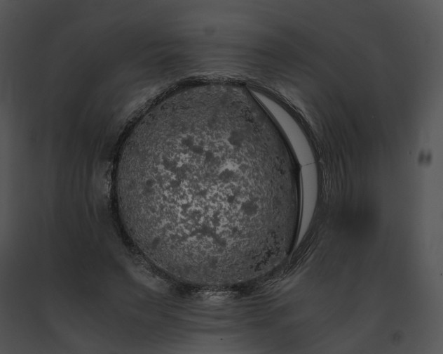 X0000091680495200708301523