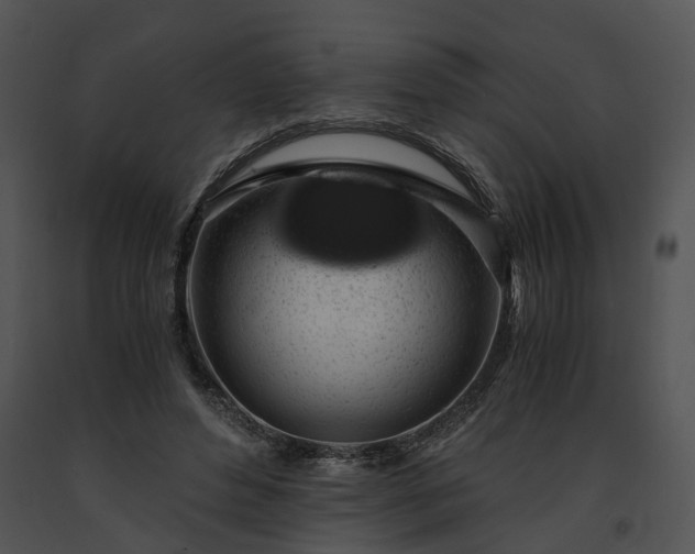 X0000091680496200708301523