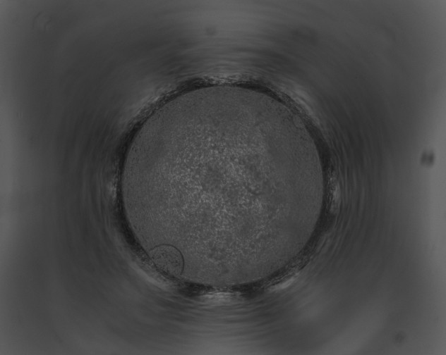 X0000091680499200708301523