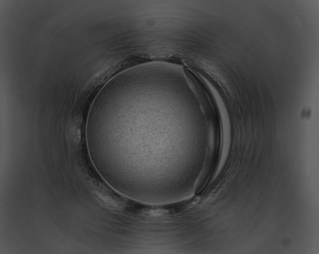 X0000091680501200708301523