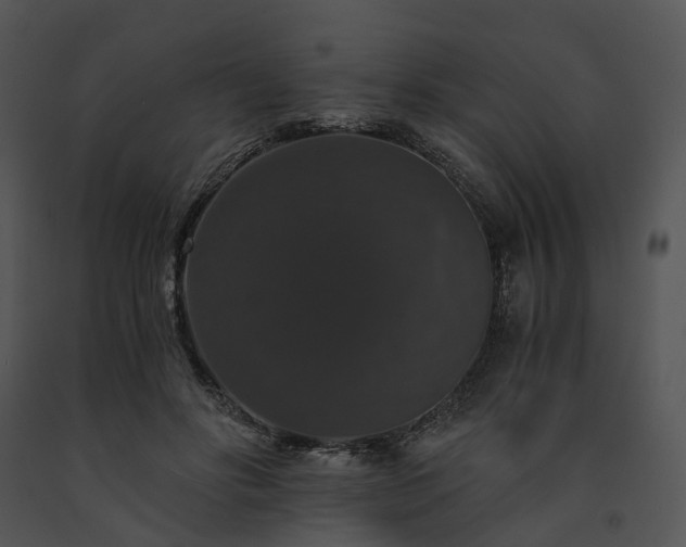 X0000091680502200708301523