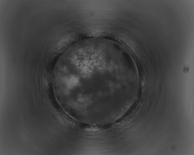 X0000091680503200708301523